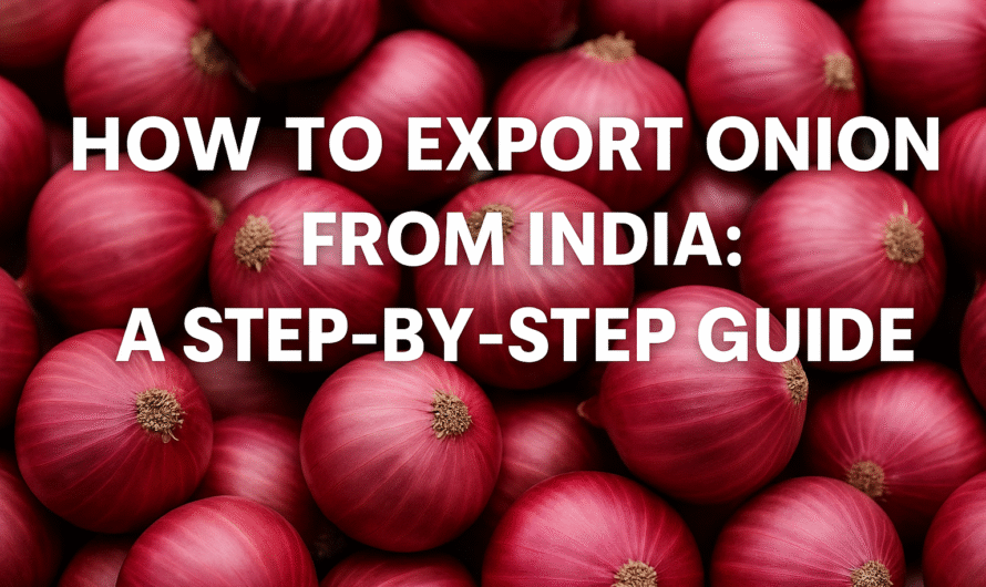 How to Export Onions from India: A Step-by-Step Guide for Beginners