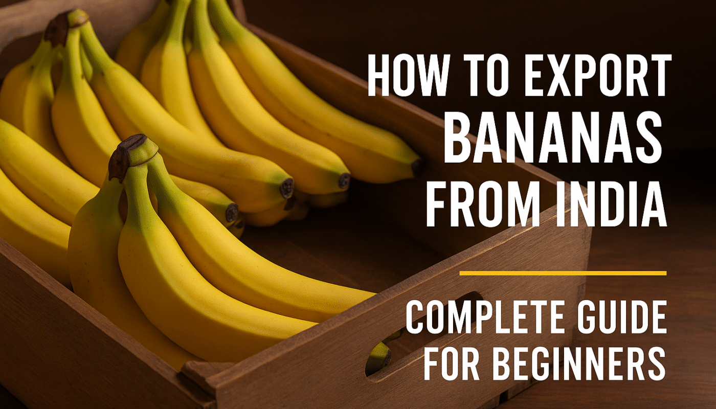 How to Export Bananas from India: Complete Guide for Beginners