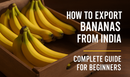 How to Export Bananas from India: Complete Guide for Beginners