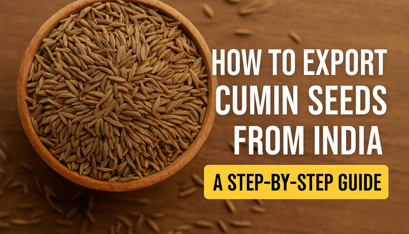 How to Export Cumin Seeds from India: A Complete Guide for New Exporters