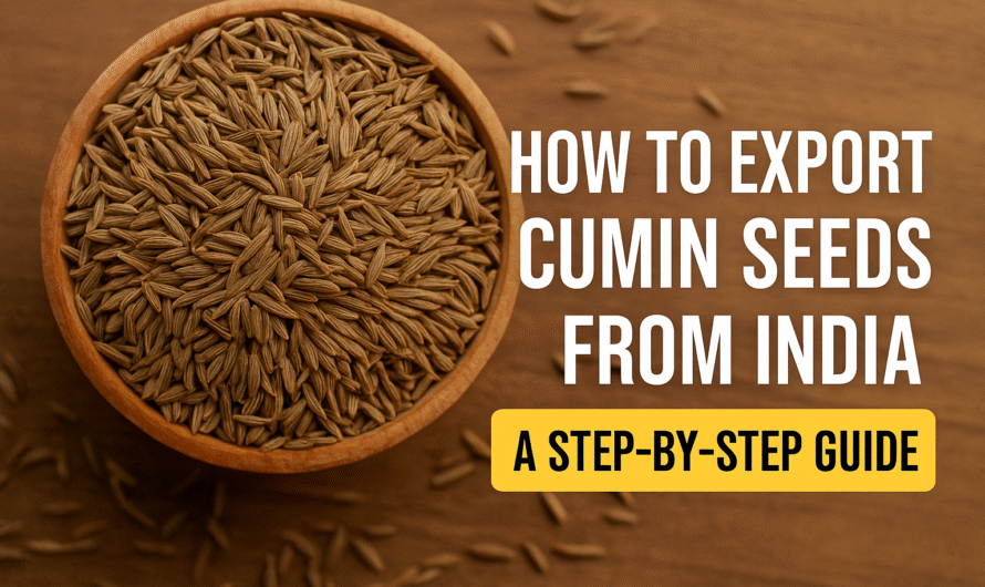 How to Export Cumin Seeds from India: A Complete Guide for New Exporters
