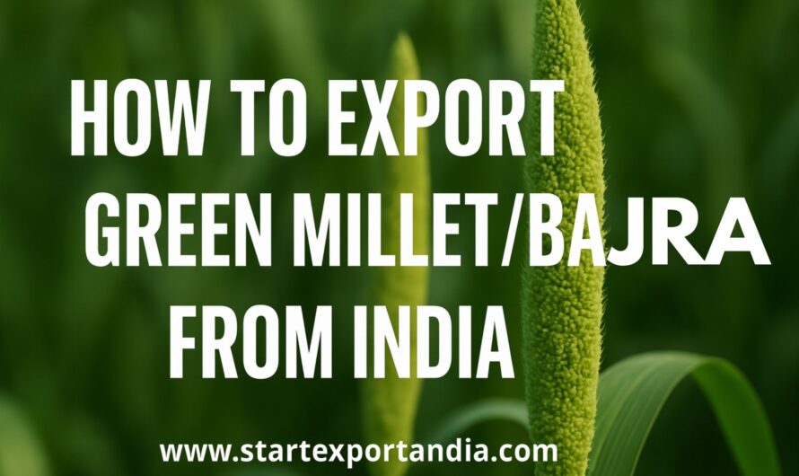 How to Export Green Millet/Bajra from India – The Ultimate Guide for 2025