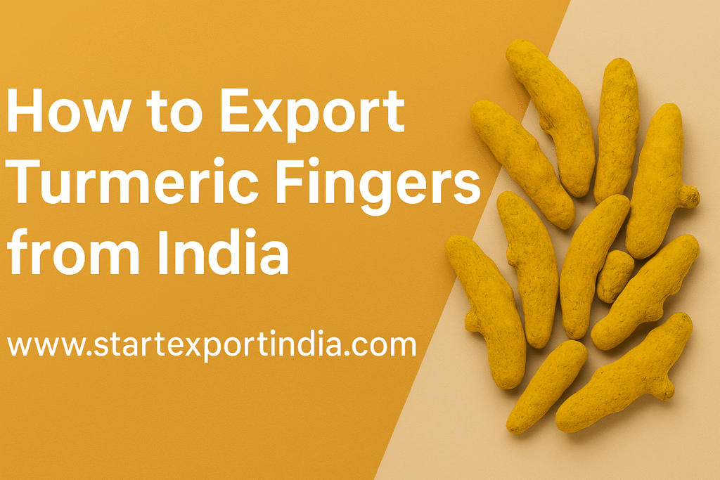How to Export Turmeric Fingers from India: Complete Step-by-Step Guide