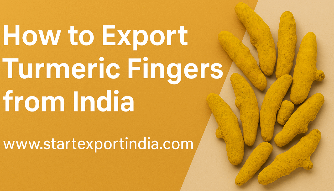How to Export Turmeric Fingers from India: Complete Step-by-Step Guide