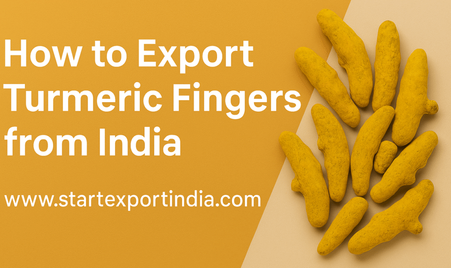 How to Export Turmeric Fingers from India: Complete Step-by-Step Guide