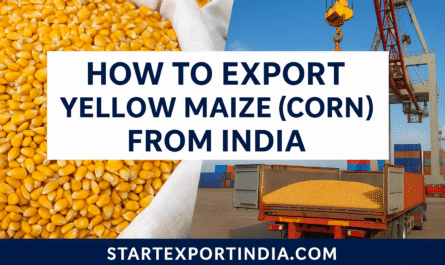 How to Export Yellow Maize (Corn) from India