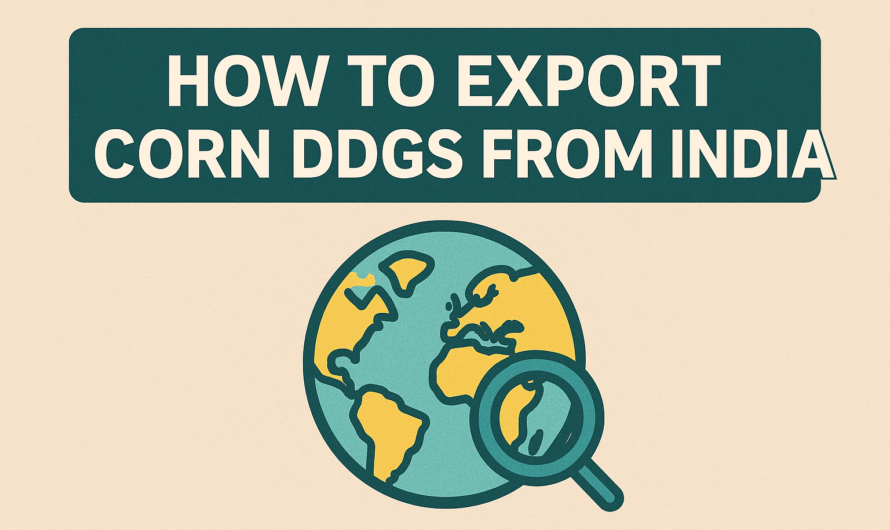 How to Export Corn DDGS from India: Step-by-Step Guide for Global Success (2025)